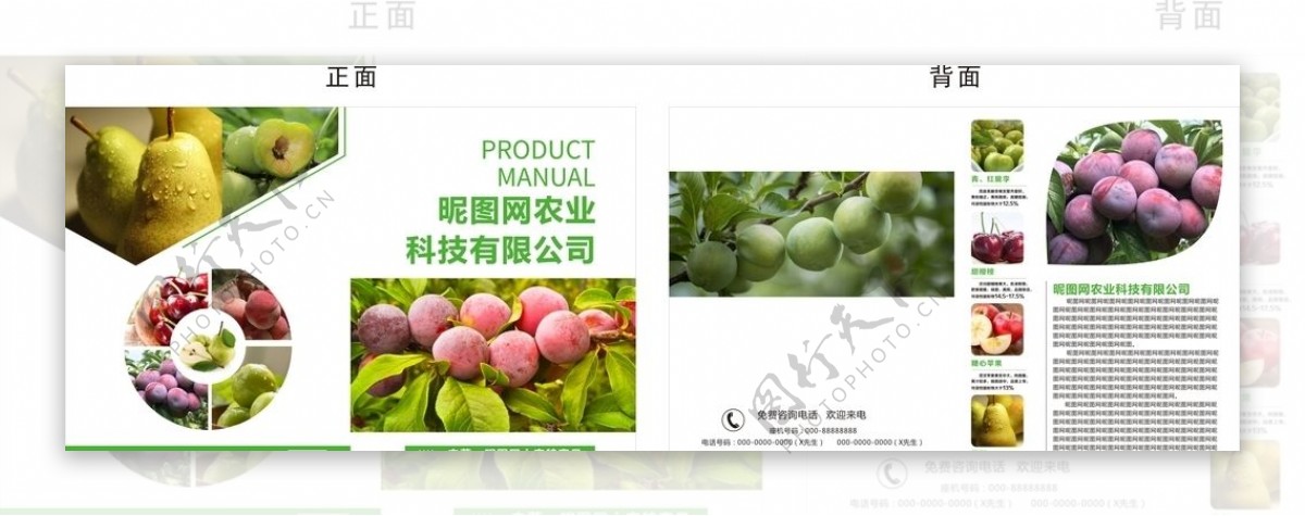 农产品公司农业水果产品折页