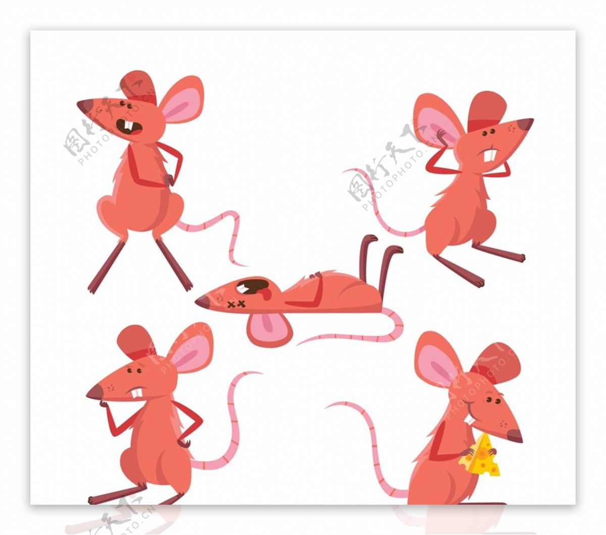 红色老鼠设计图片