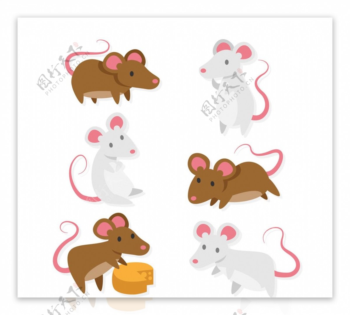 创意老鼠设计图片