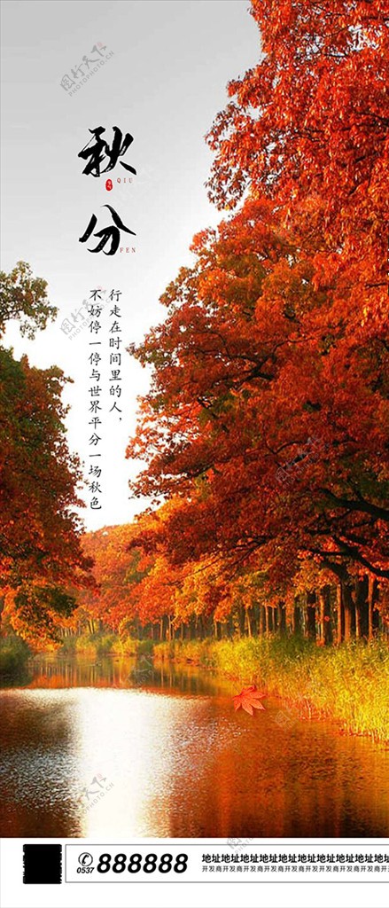 秋天枫叶秋分节气海报图片