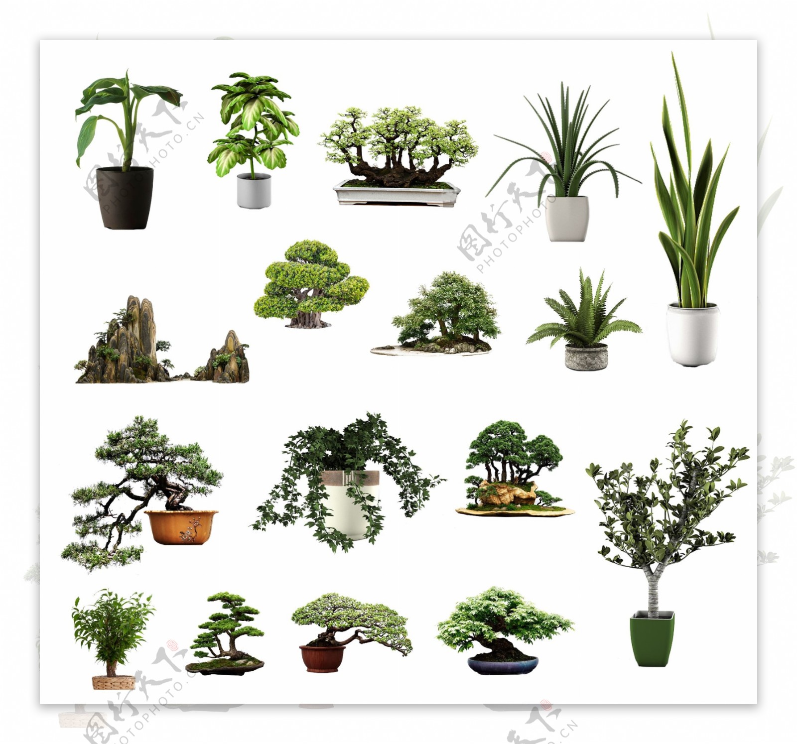 免抠植物PNG素材图图片