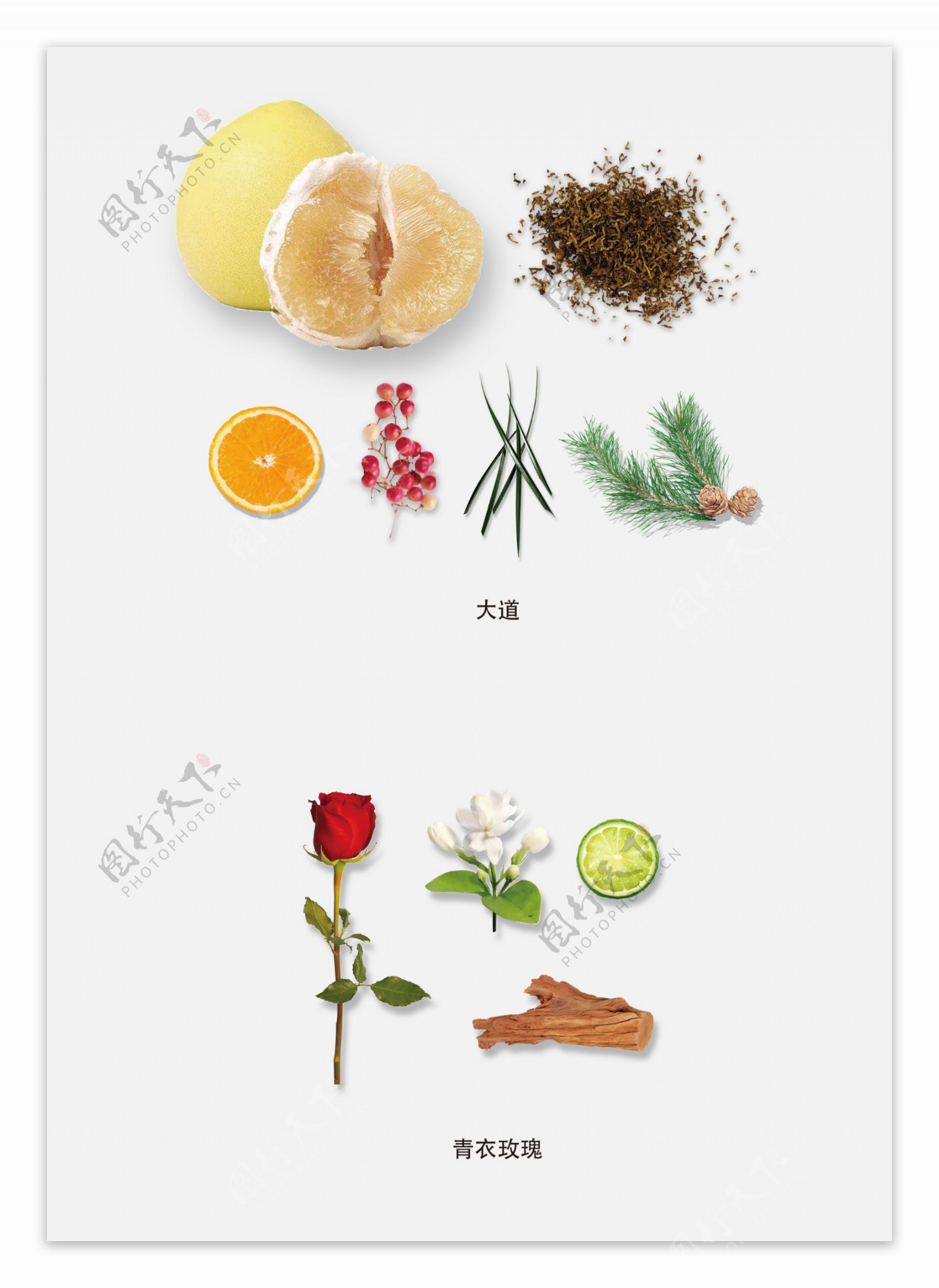 香料植物水果图片