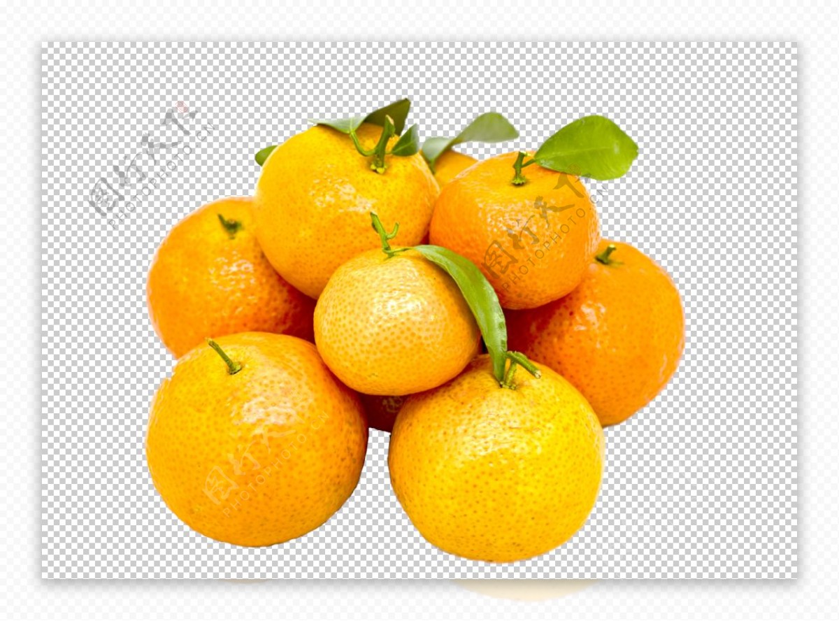 砂糖橘图片