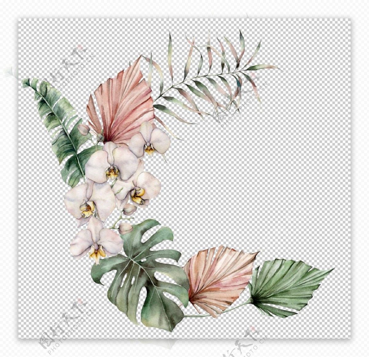 植物花朵装饰图案图片
