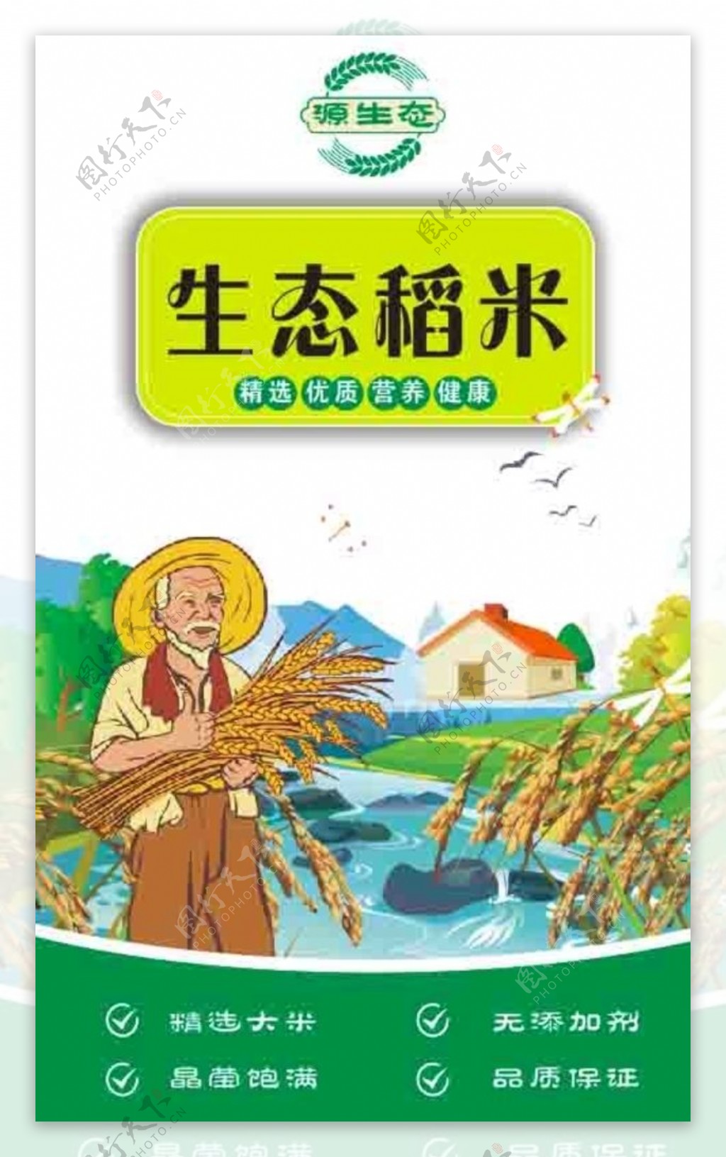 生态稻米图片