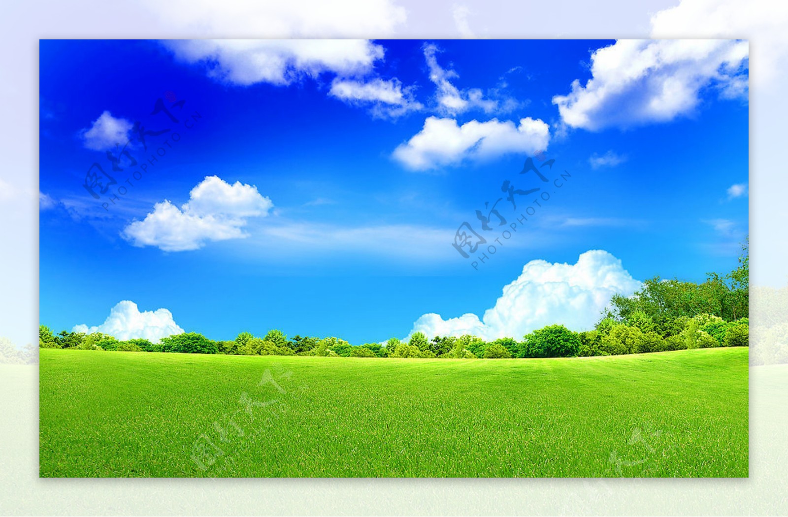 草地蓝天背景图片