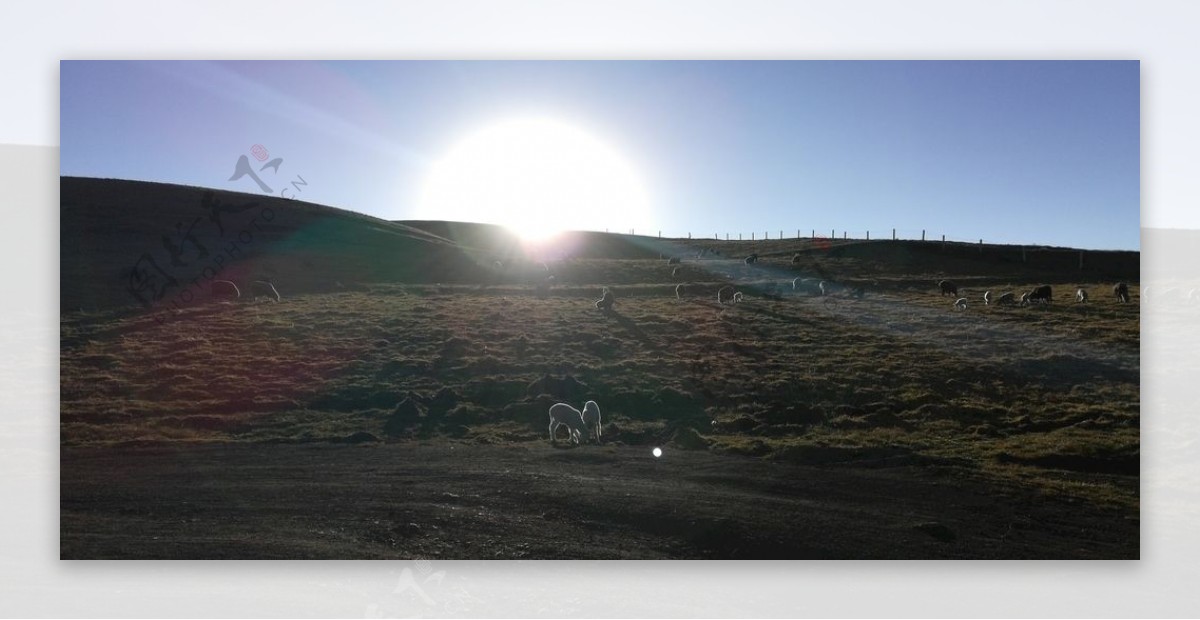 草原牧场日落风景图片