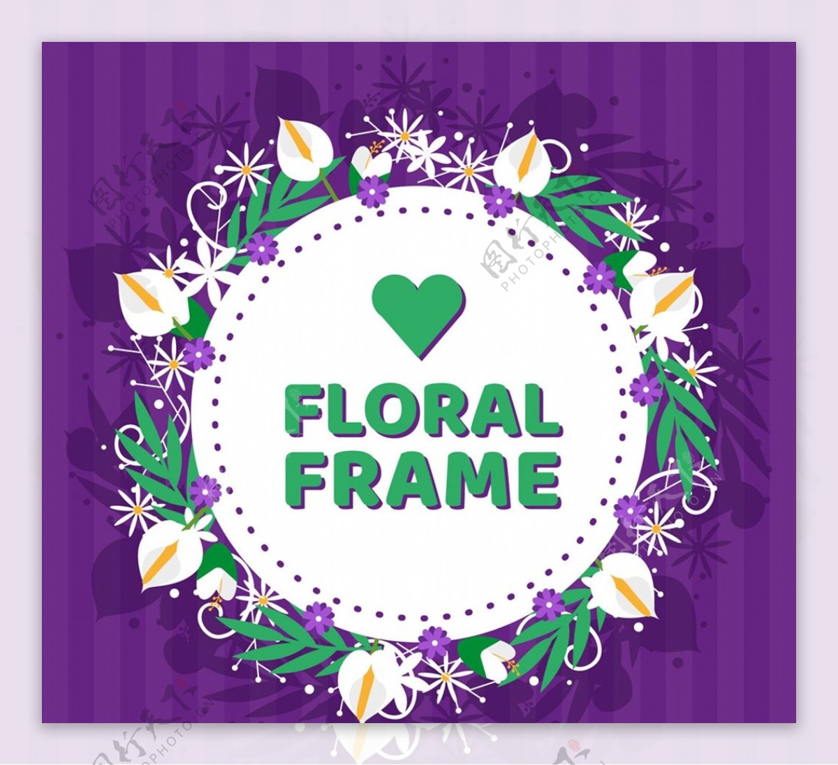 白鹤芋和菊花框架图片