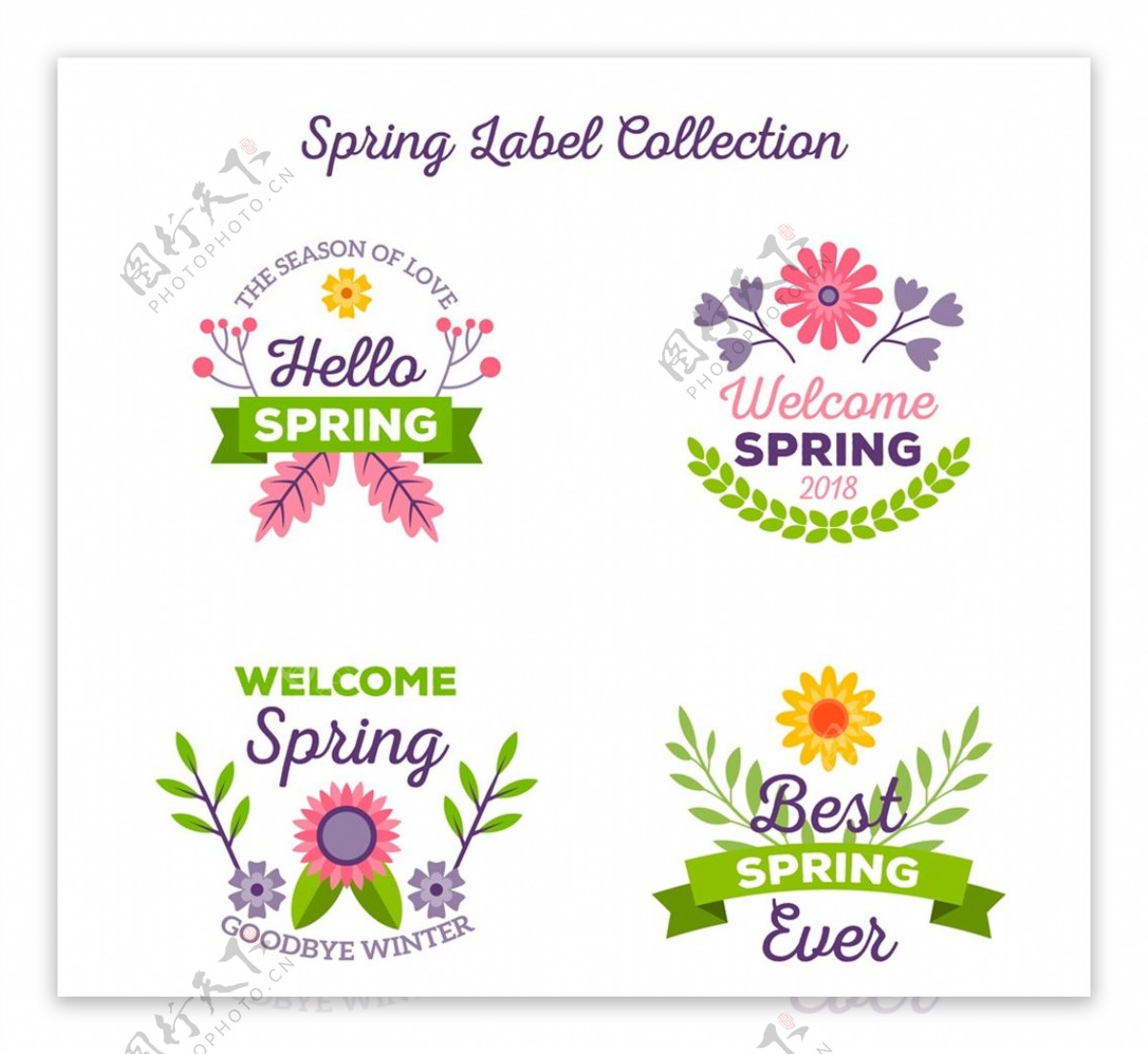 清新春季花卉标签图片