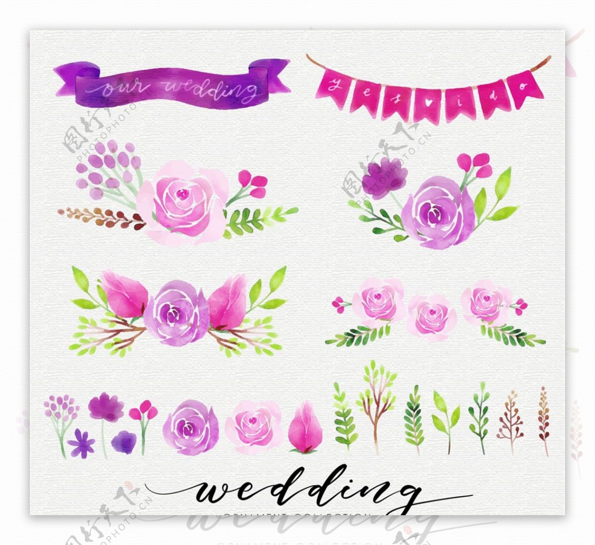婚礼花卉元素图片
