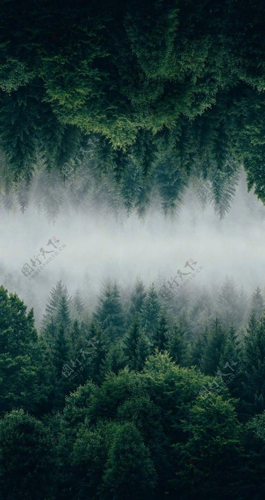森林微信地产背景图片