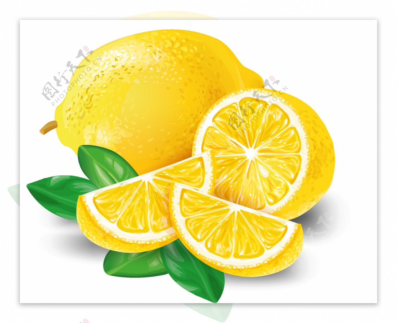 免抠手绘柠檬图片