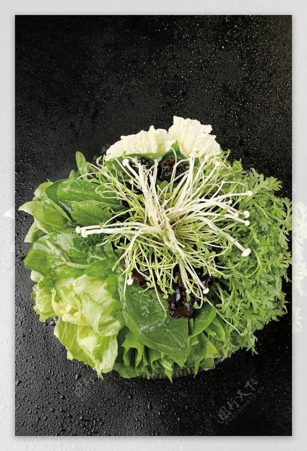 蔬菜合盘图片