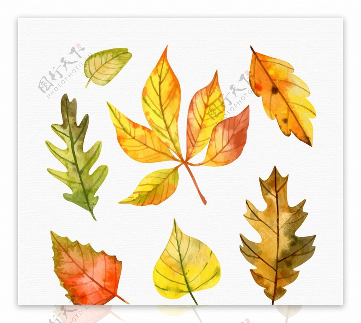 水彩绘秋季树叶图片