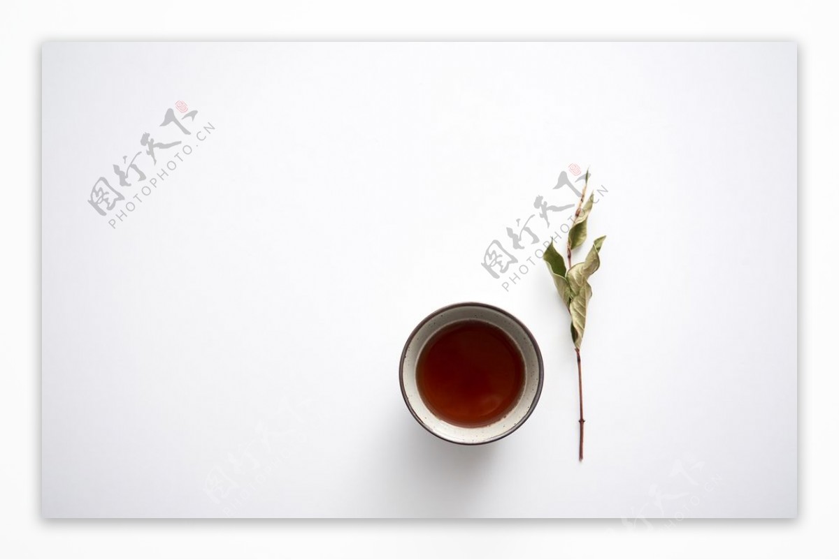 红茶枝页简约背景海报素材图片