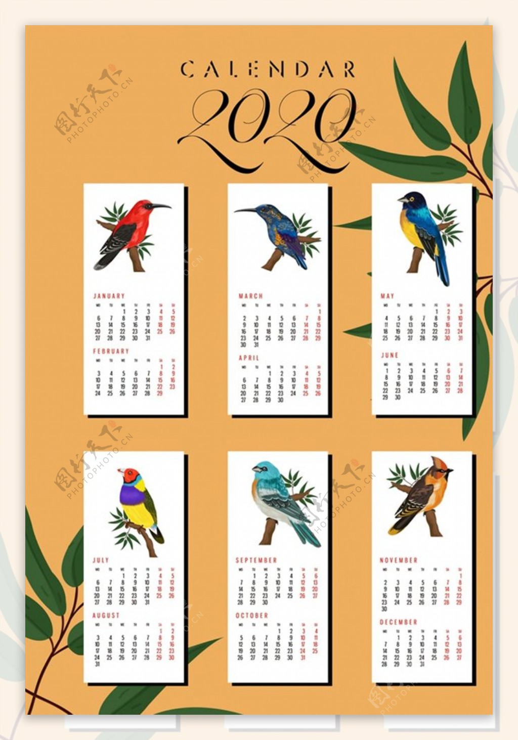 鸟类年历卡片图片