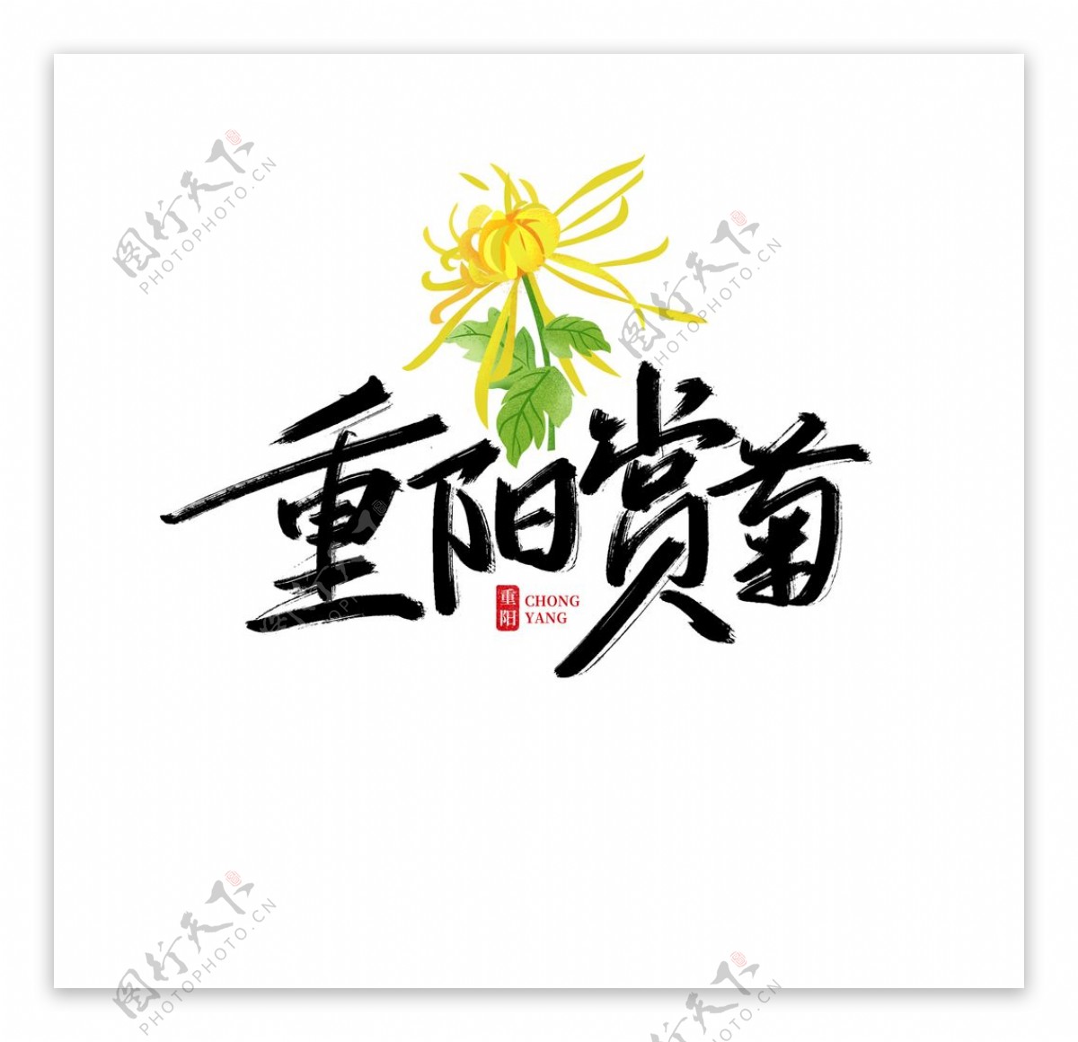 手写重阳赏菊艺术字图片
