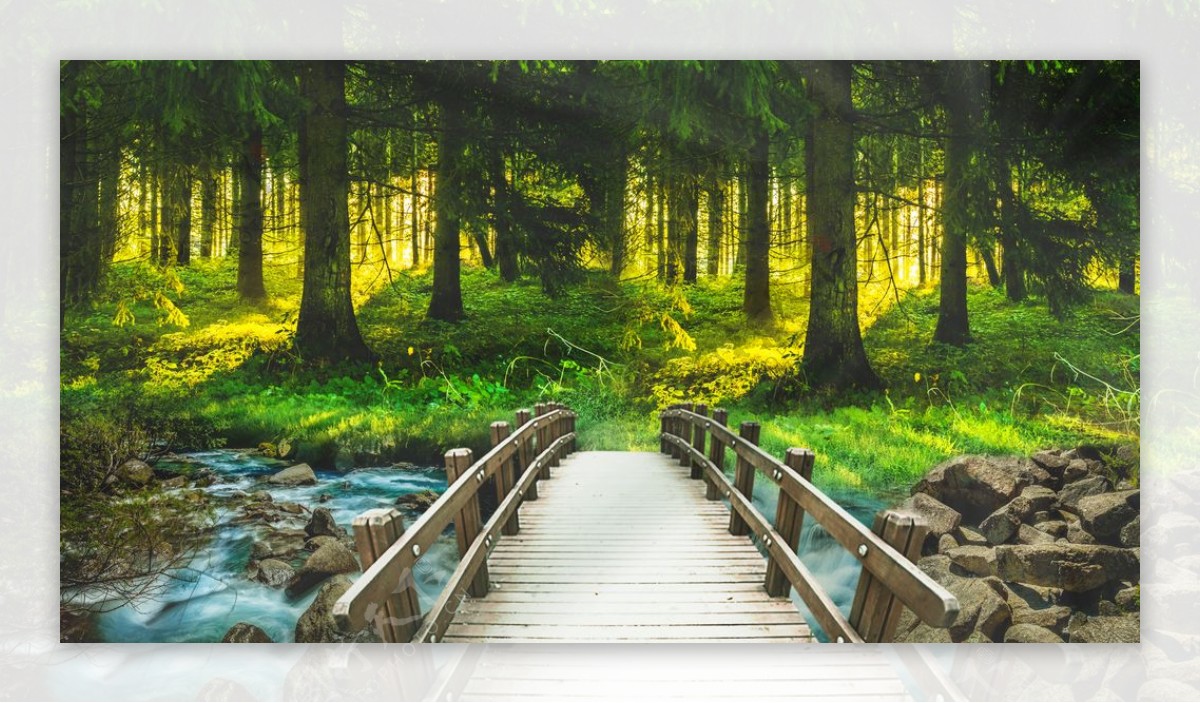 森林桥梁木质清新背景海报素材图片