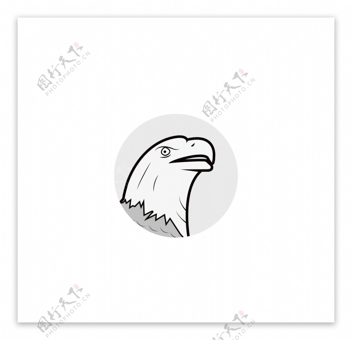 老鹰线稿logo图片