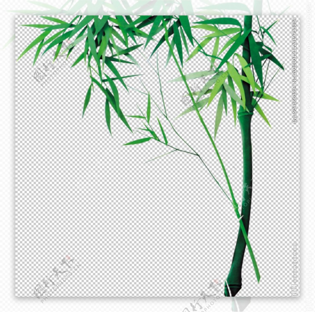竹子风图片
