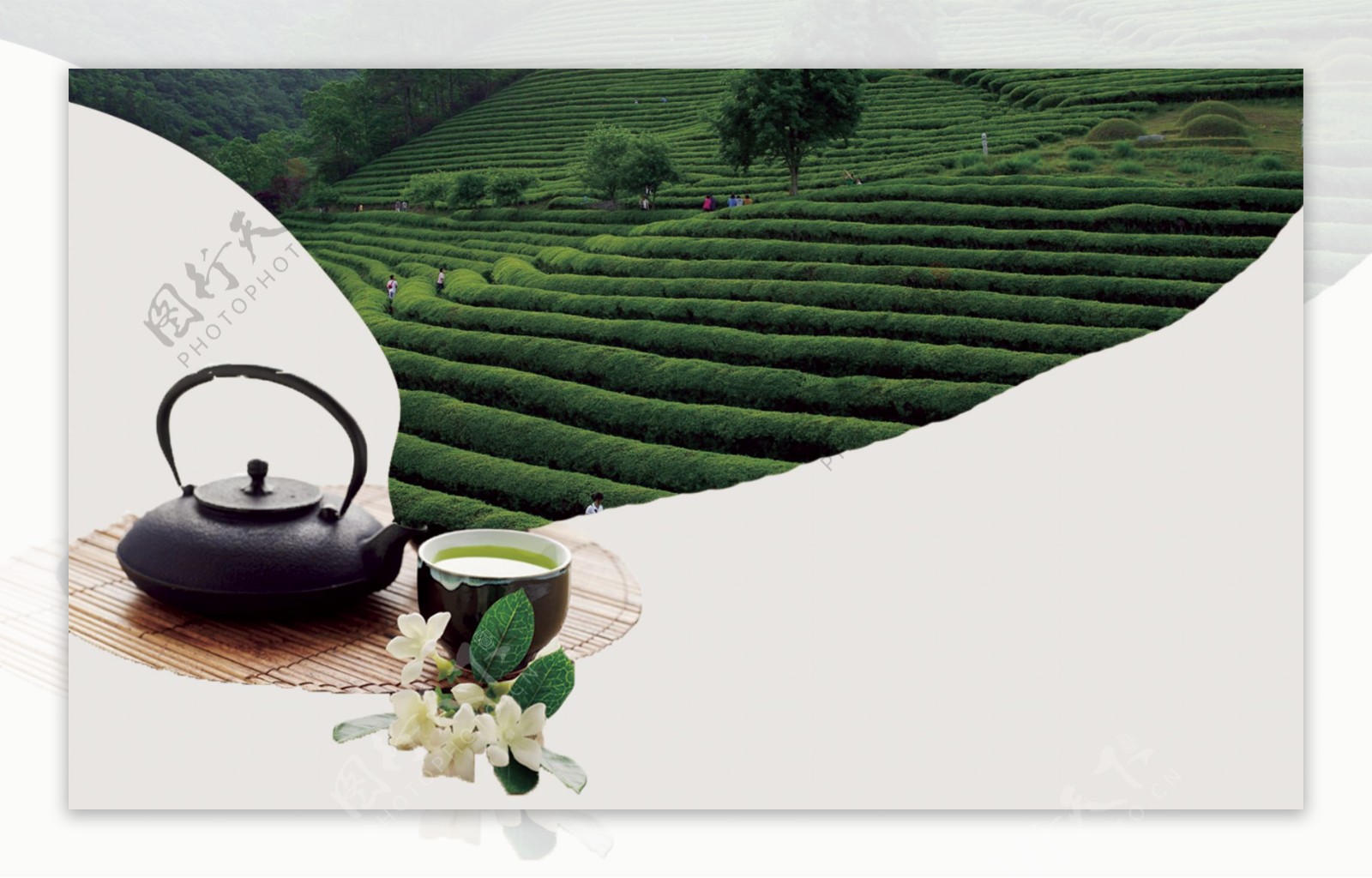 茶叶清新茶具背景海报素材图片