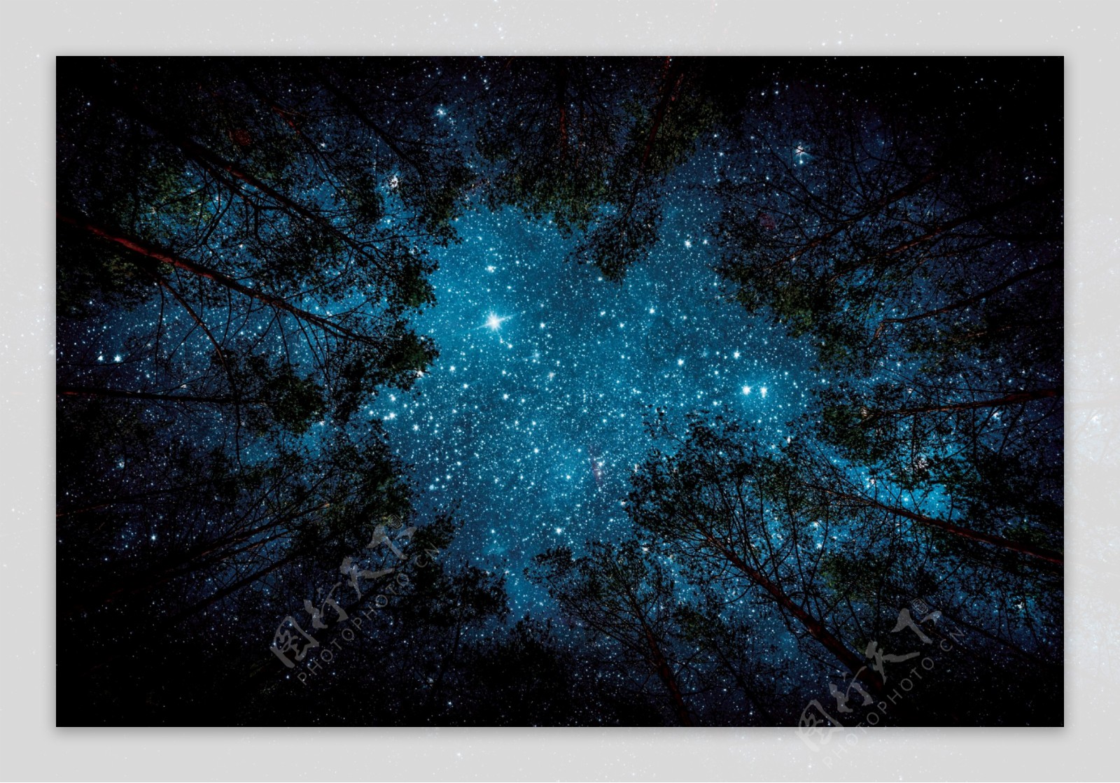树林上面的星空繁星点点背景画图片