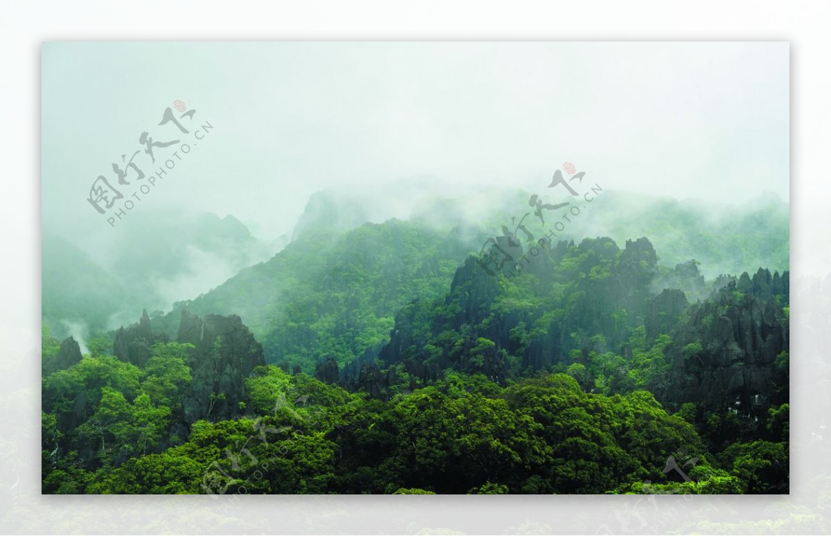 雾中的石林翠绿山峰装饰图图片