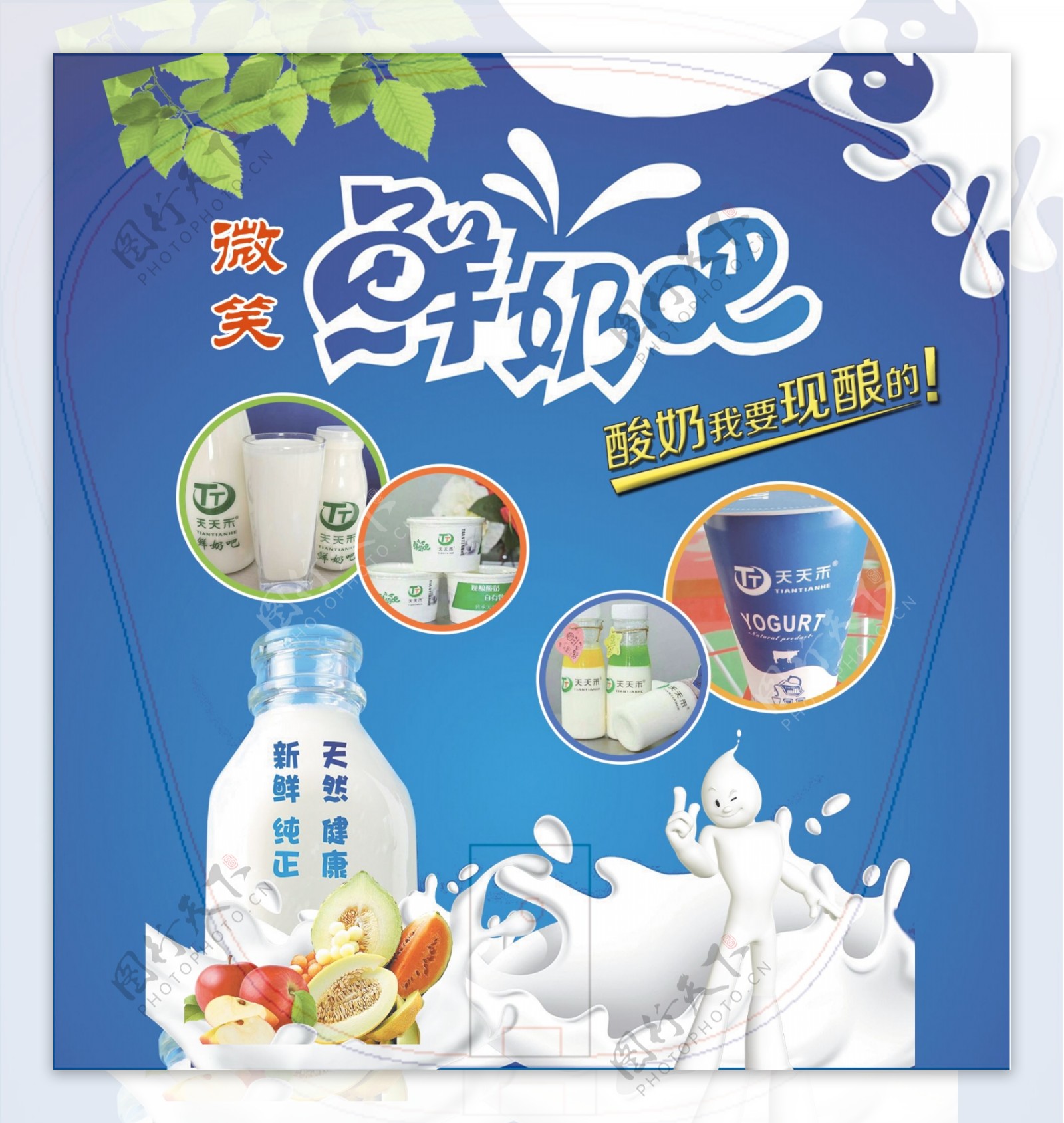 纯鲜牛奶扇子广告扇图片