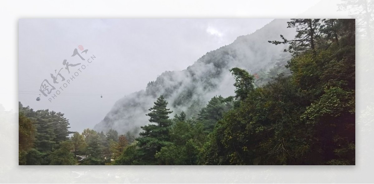 云南森林图片