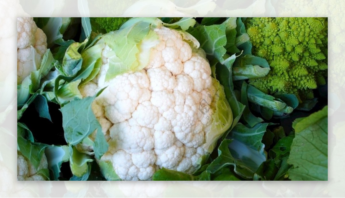 白色花菜营养花菜健康花菜图片