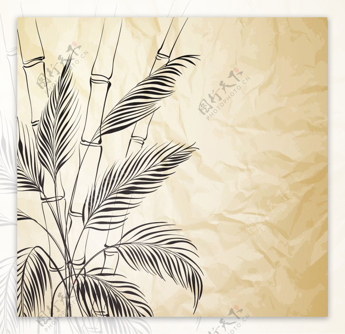 竹子背景植物图片
