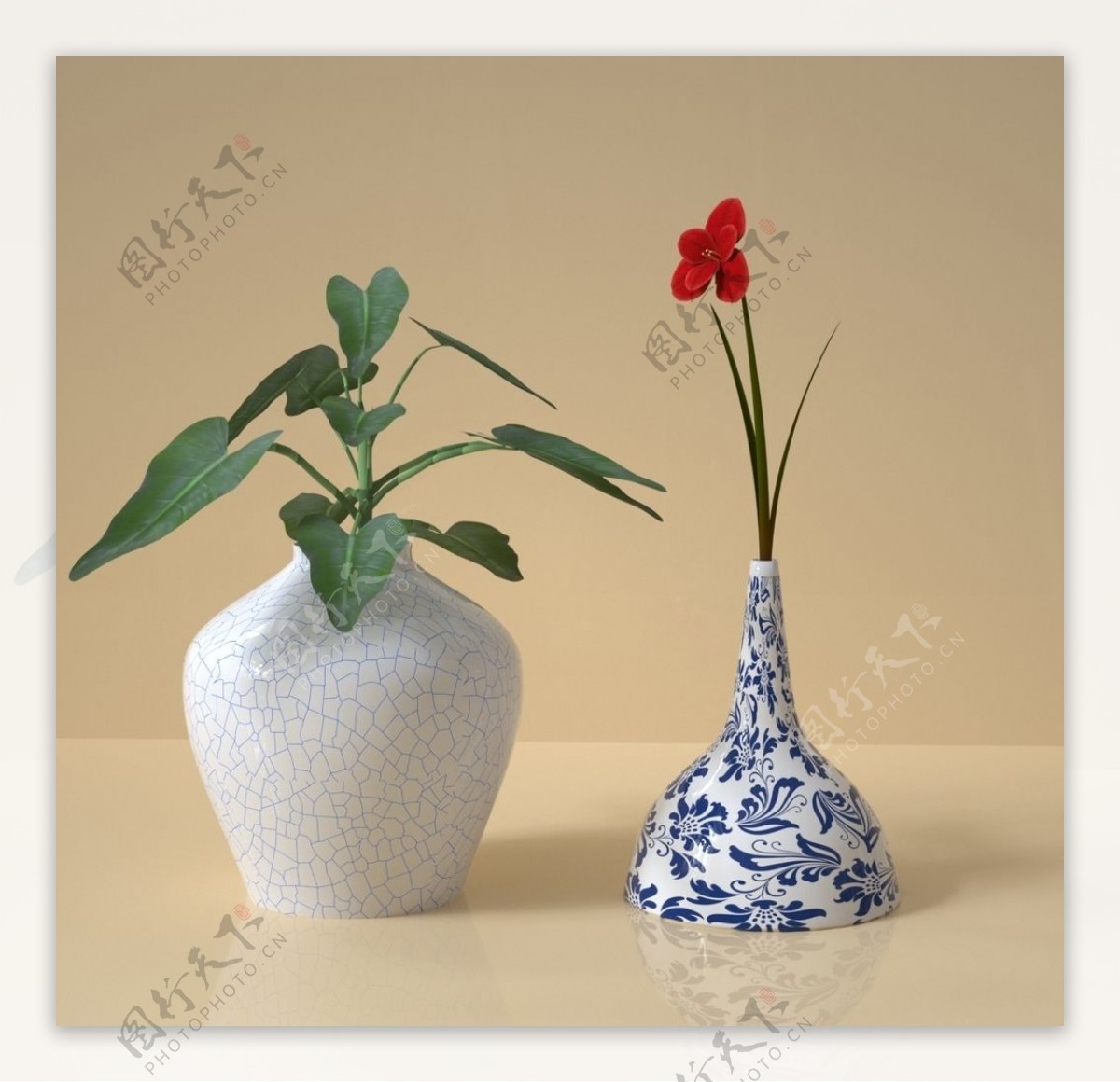 花瓶盆栽图片