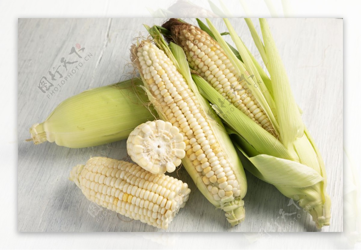白玉米摄影图片