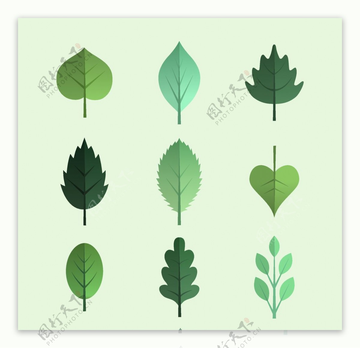 绿色树叶矢量图片