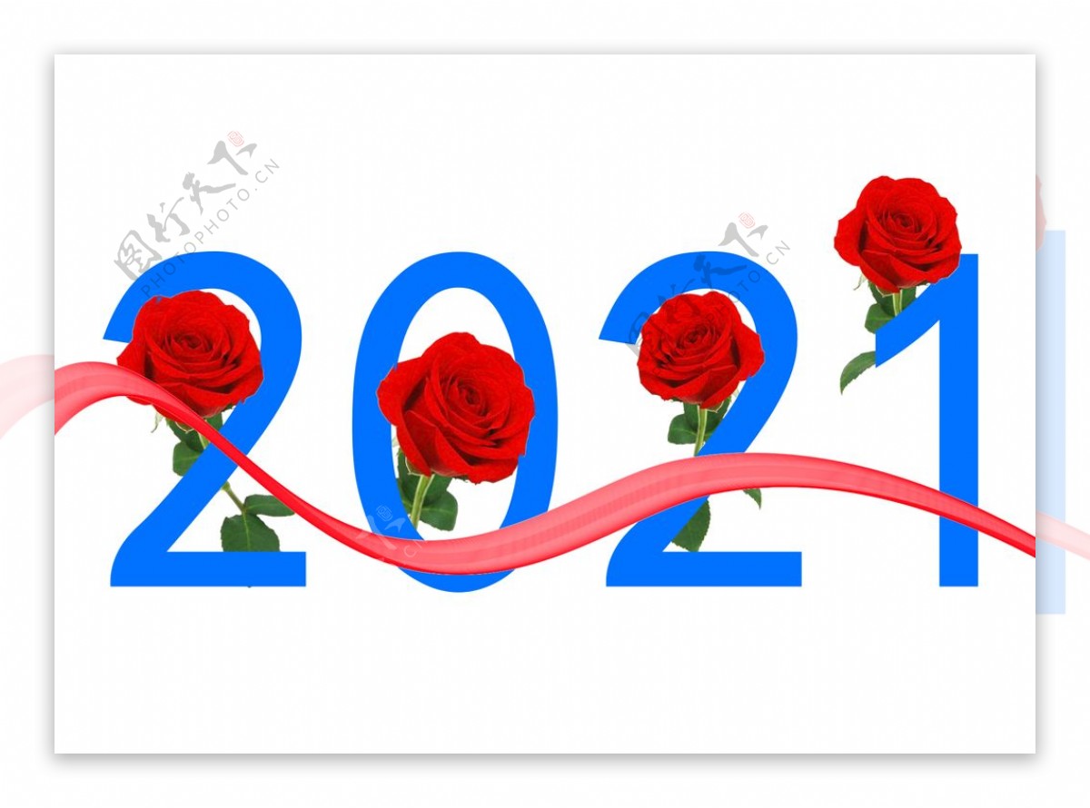 2021玫瑰图片