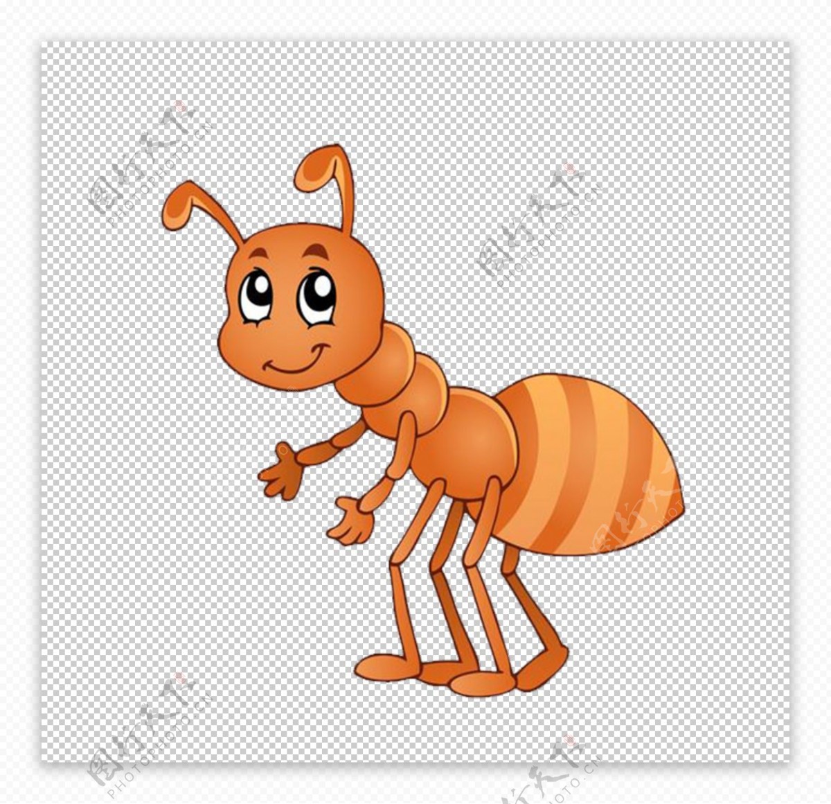 手绘蚂蚁免抠素材PNG图片