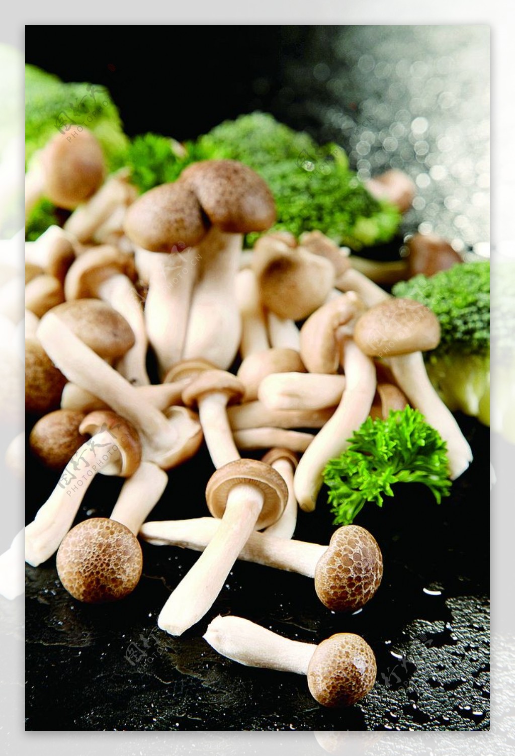 浙菜蟹味菇图片