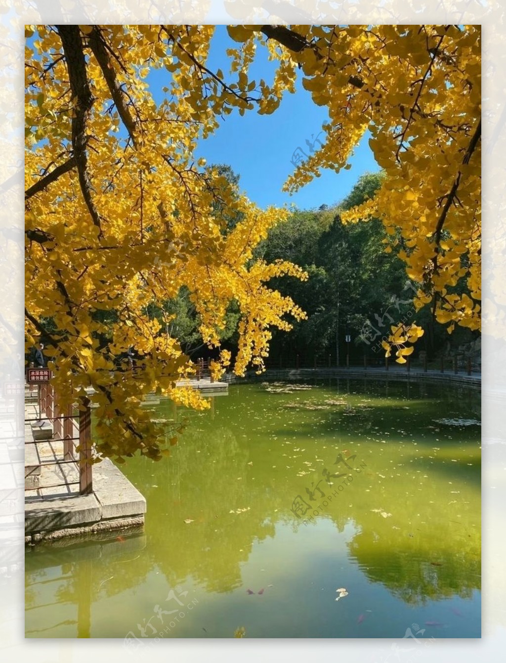 北京香山公园图片