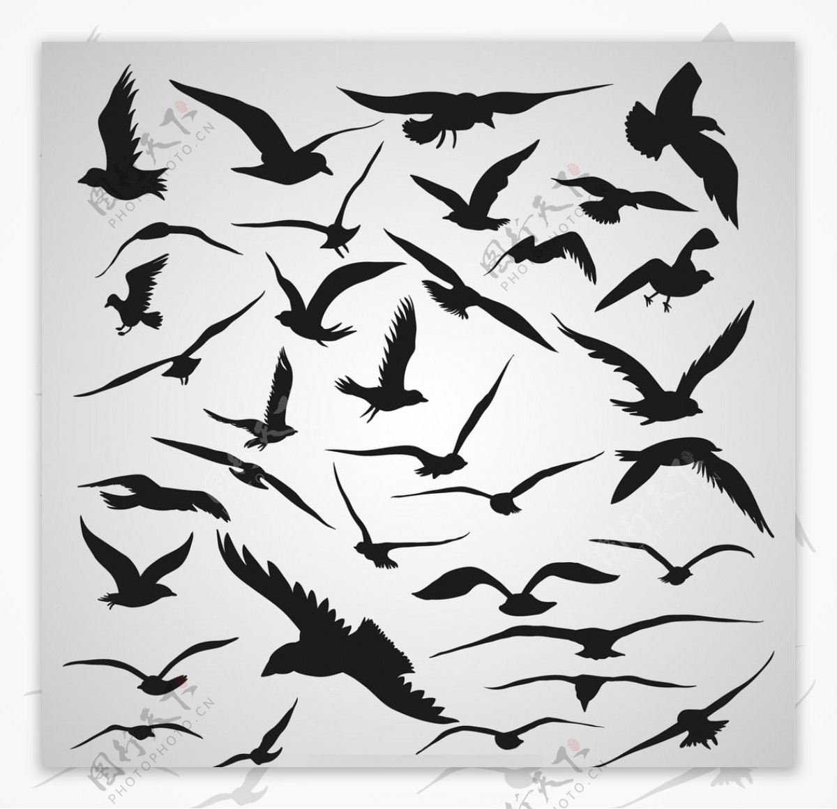 鸟类黑白剪影素材图片