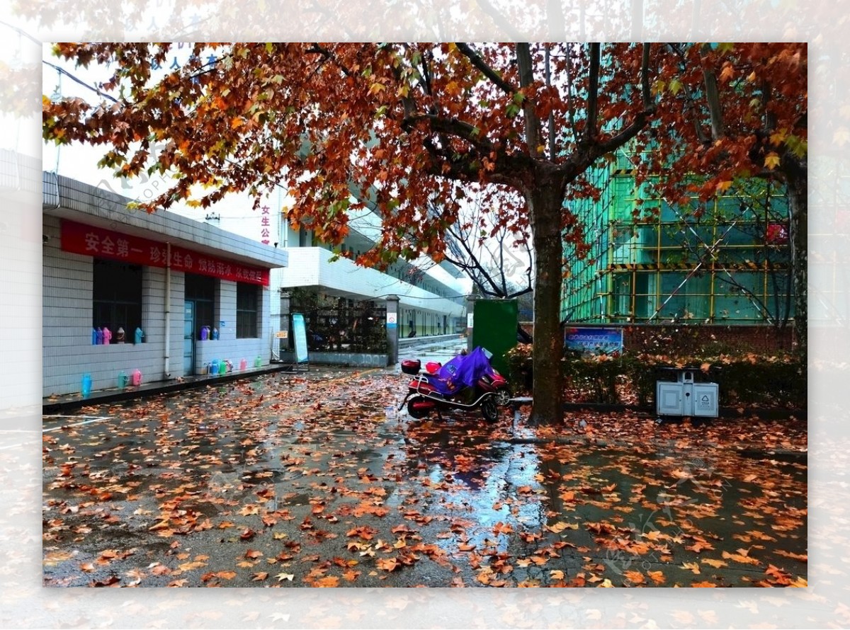 秋风萧瑟的校园图片
