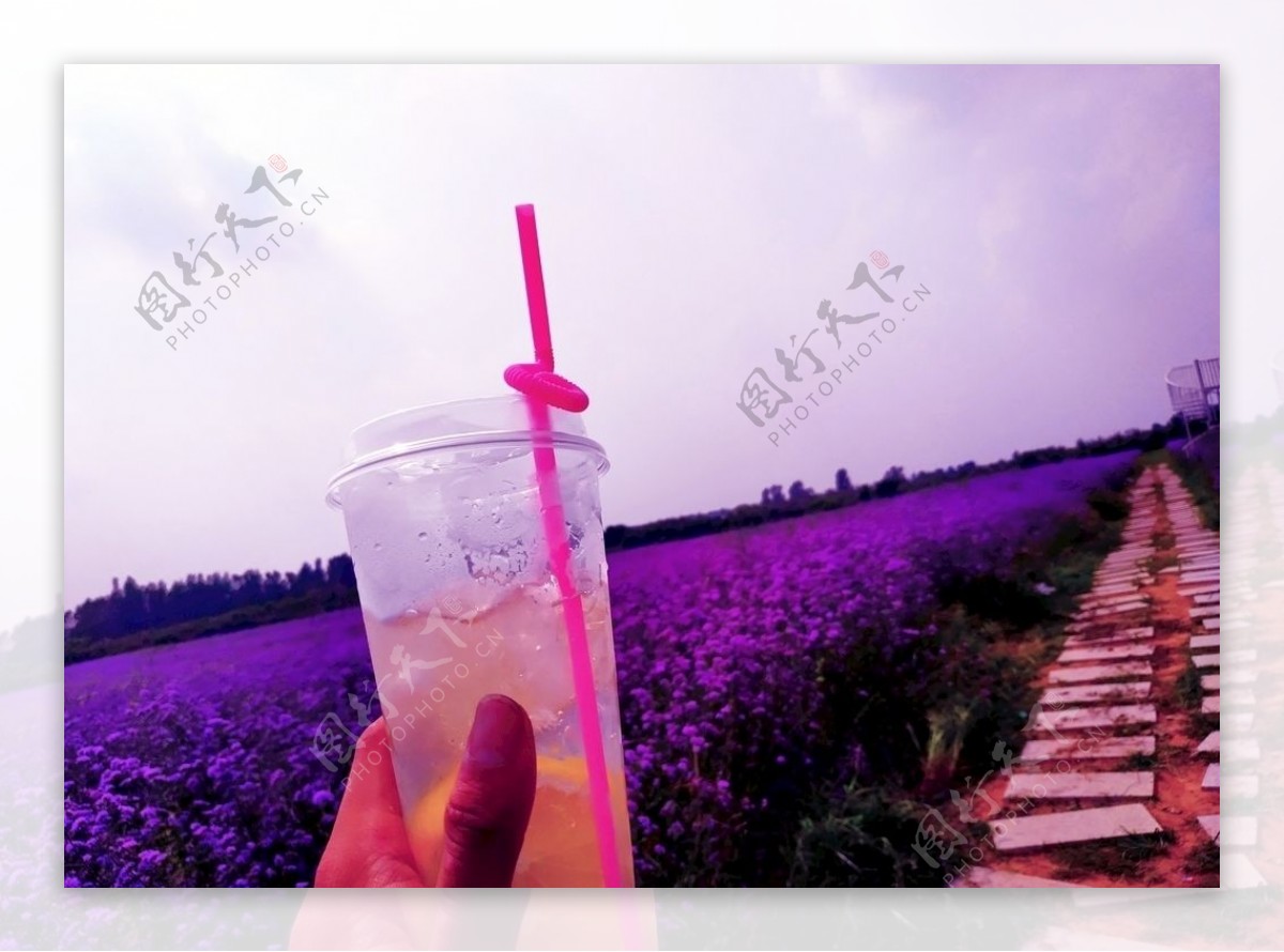 花知系列干杯与紫色的世界干杯图片