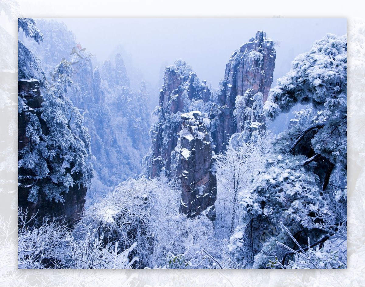 罕见景象全遇到 张家界冬季8个绝美之景