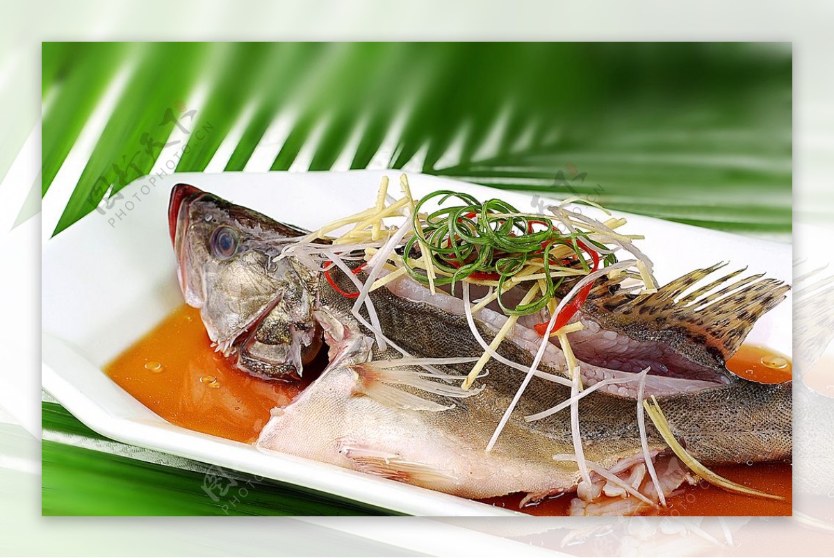 桂花鱼怎么做好吃（ 桂花鱼的最佳做法） – 碳资讯