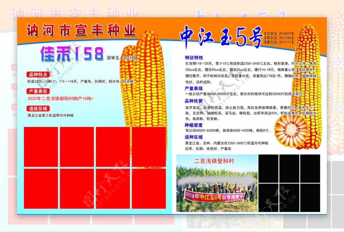 种子化肥宣传单玉米宣传单图片