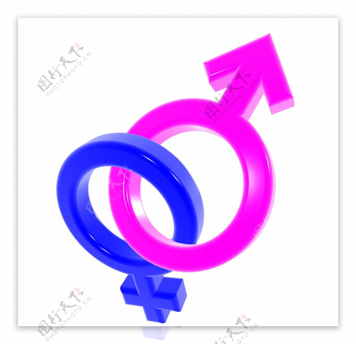 C4D模型男女性标志符号图片