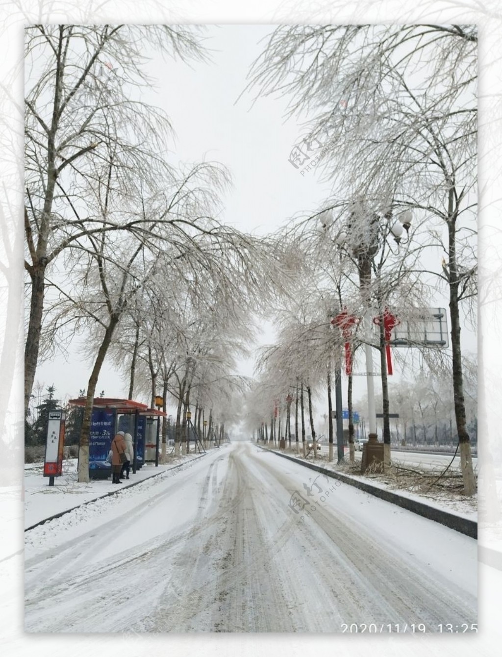冰包树冻雨冻树大街图片