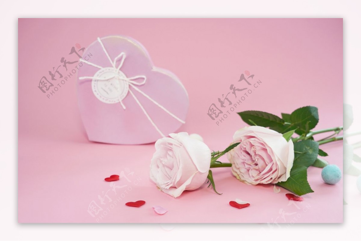 唯美粉色玫瑰花图片素材-编号27037886-图行天下