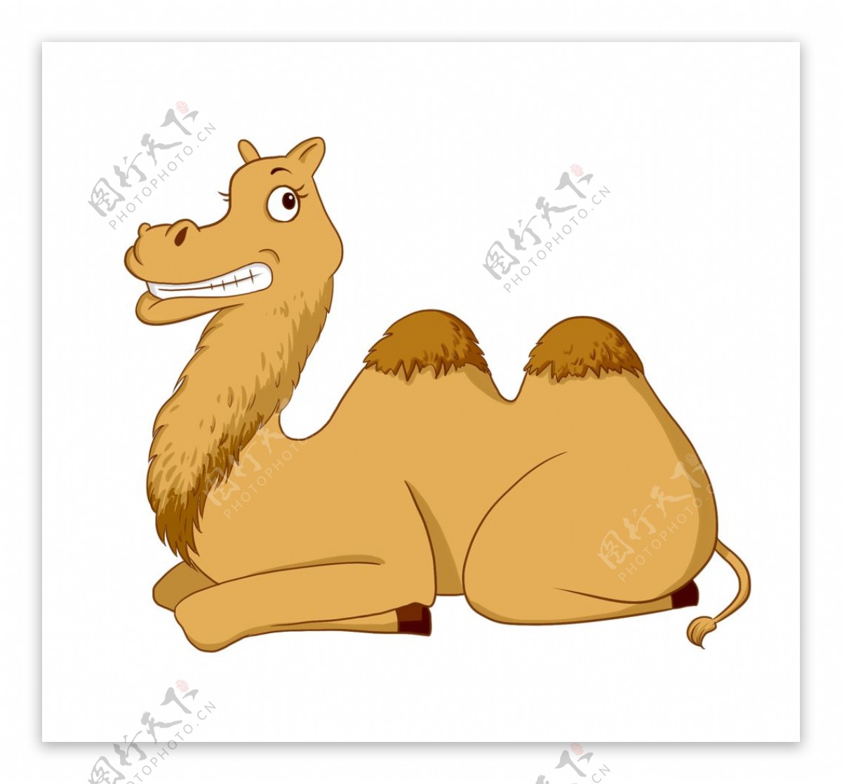 卡通骆驼插画图片