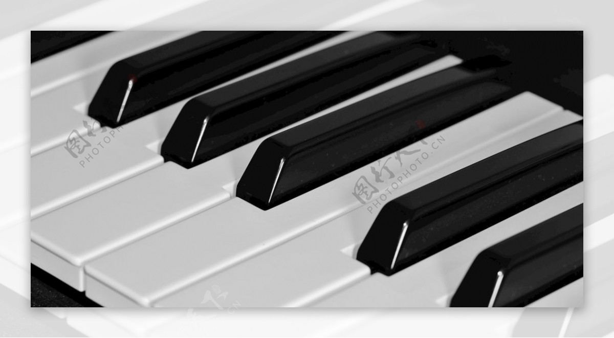 钢琴键图片