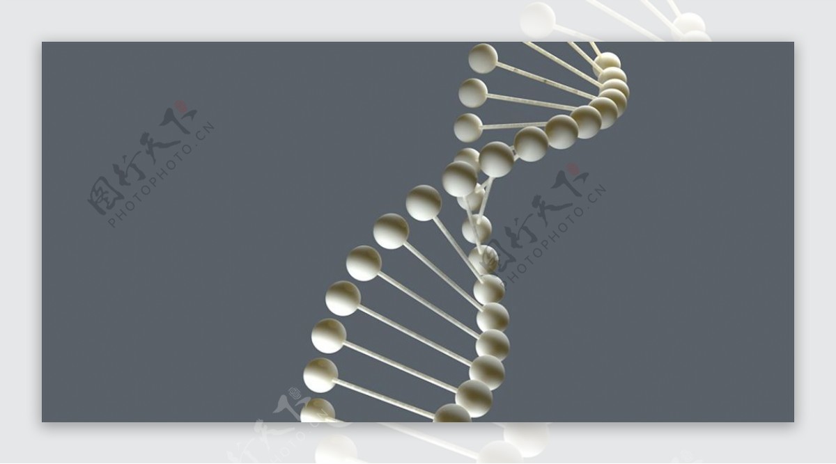 C4D模型DNA基因图片